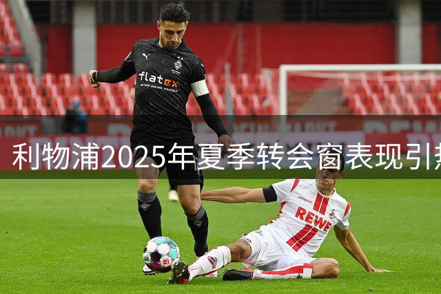利物浦2025年夏季转会窗表现引热议