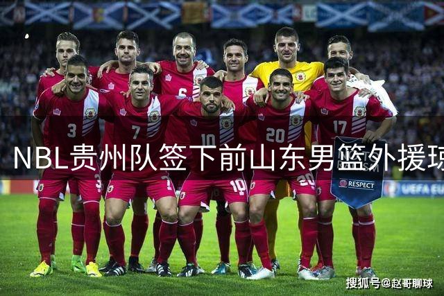NBL贵州队签下前山东男篮外援琼斯